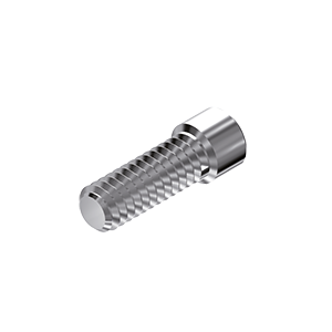 ZZ BASE S&M-K-SC 6.00  (Screw for Ti-abutments)