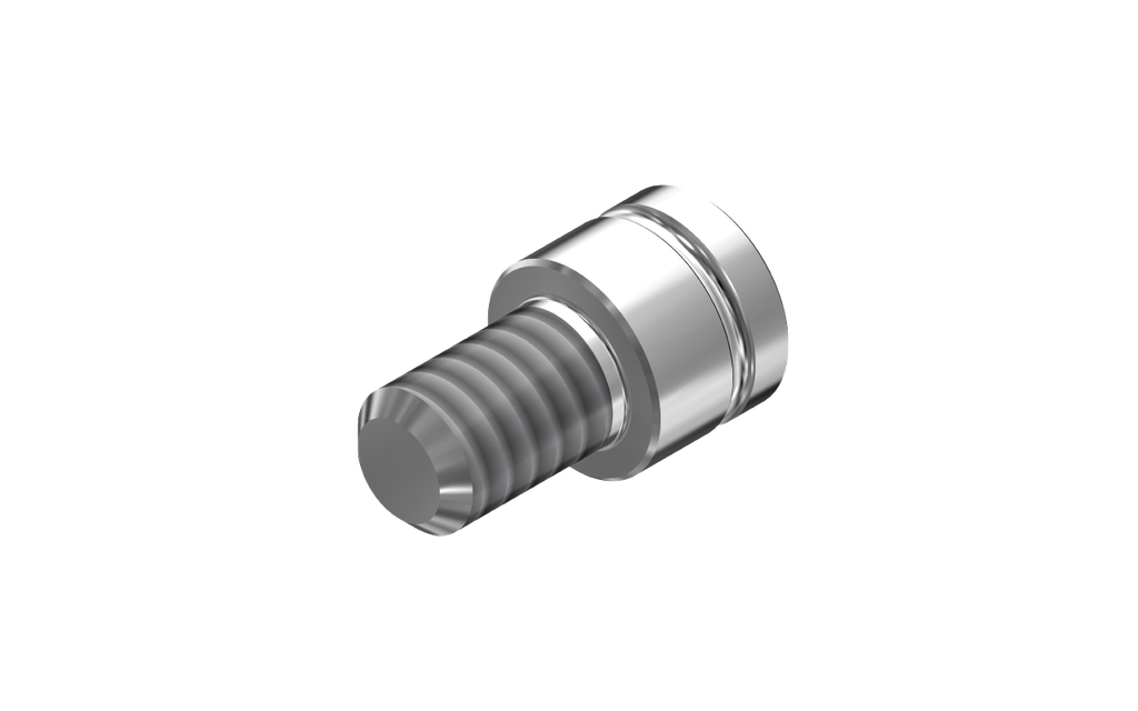 ZZ BASE AS-EV/MB-SC (Screw for Ti-abutments)