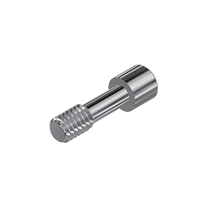 ZZ BASE MIS-S-ZSC STANDARD(Screw for Zi-abutments)