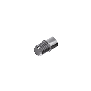 ZZ BASE AB-SP-SC TC (Screw for Ti-abutments)