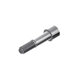 ZZ BASE ICX-TEM ZSC Ø 3.45 - 4.80 (Screw for Zr-abutments)