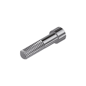ZZ BASE SY-CB-ZSR 3.5/4.0/4.5/5.5 (Screw for Zr-abutments)