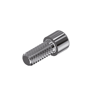ZZ BASE ZZ BASE SY-FF-ZSC (Screw for Zi-Base)