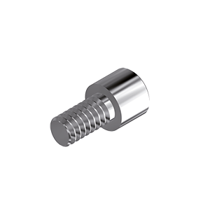 ZZ BASE BT-MIM-SC 5.5 (Screw for Ti-abutments)