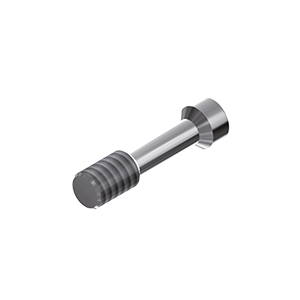 ZZ BASE TH-SPI 5.0 (Screw for Ti-abutments)