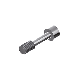 ZZ BASE TH-SPI 3.5 (Screw for Zr-abutments)