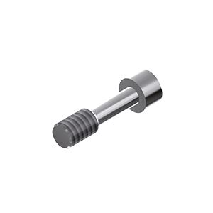 ZZ BASE TH-SPI 4.0 (Screw for Zr-abutments)