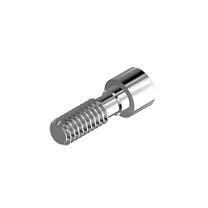 ZZ BASE BT-I-ZSC 5.5 (Screw for Zi-abutments)
