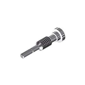 ZZ BASE BH-EXT 6.0 (Screw for Zirkon-abutments)