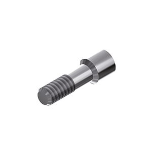 ZZ BASE NE-PA-SC 3.25 (Screw for Ti-abutments)