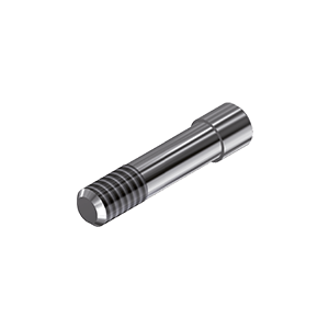ZZ BASE D-I-SC 3.8 (Screw for Ti-abutments)