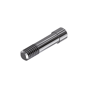 ZZ BASE D-I-SC 4.8 (Screw for Ti-abutments)