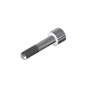 ZZ BASE BI-KO-ZSC 3.0 (Screw for Zi-abutments)