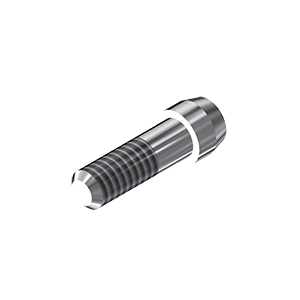 ZZ BASE AS-EV-SC 5.4 (Screw for Zr-abutments)