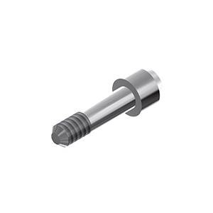 ZZ BASE AG-AX-ZSC REG/AX (Screw for Zi-abutments)