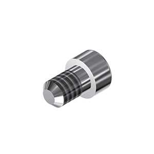 ZZ BASE ZZ-MUA-ZSC 4.8 (Screw for Zi-abutments)