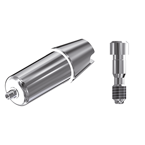 ZZ BASE NB-RS-ABCH Raw-Abutment NP Ø 3.5mm (Hex & Screw)