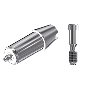 ZZ BASE NB-RS-ABCH Raw-Abutment RP Ø 4.3mm (Hex & Screw)