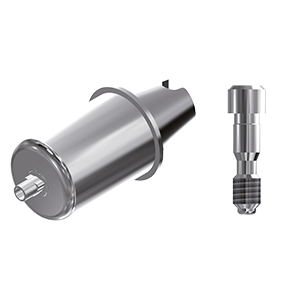 ZZ BASE NB-R-ABCH-D14 4.3 Raw-Abutment D14 (Hex & Screw)