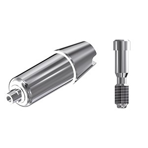 ZZ BASE NB-RS-ABCH Raw-Abutment WP Ø 6.0mm (Hex & Screw)