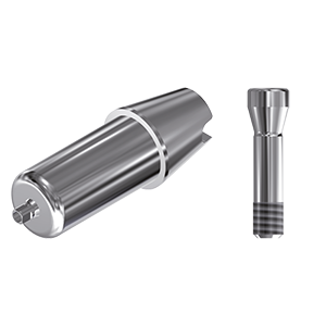 ZZ BASE ST-BL-ABCH Raw-Abutment NC Ø 3.3 (Hex & Screw)