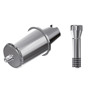 ZZ ST-BL-ABCH-D14 RC 4.1 Raw-Abutment D14 (Hex & Screw)