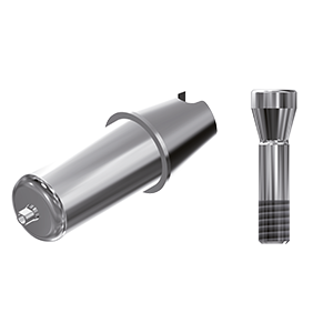 ZZ BASE ST-BL-ABCH Raw-Abutment SC (Hex & Screw)