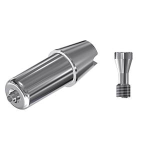 ZZ BASE ST-SO-ABCH Raw-Abutment RN Ø 4,8  (Hex & Screw)