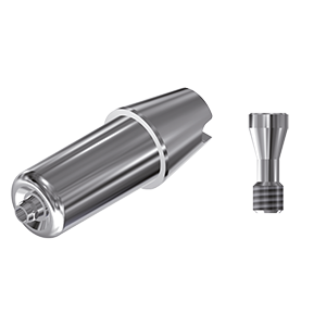 ZZ BASE ST-SO-ABCH Raw-Abutment WN Ø 6.5  (Hex & Screw)