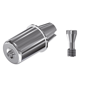 ZZ BASE ST-SO-ABCH-D14 WN 6.5 Raw-Abutm. D14 (Hex & Screw)