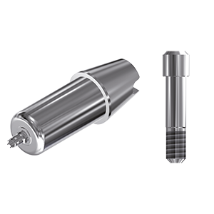 ZZ BASE B-C-ABCH Raw-Abutment Ø 4.1mm (Hex & Screw)