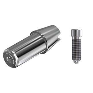 ZZ BASE B-O-ABCH Raw-Abutment Ø 6.0mm (Hex & Screw)