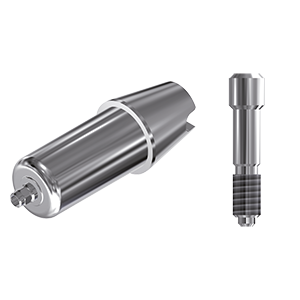 ZZ BASE F-DX-ABCH Raw-Abutment Ø 4.5mm (Hex & Screw)