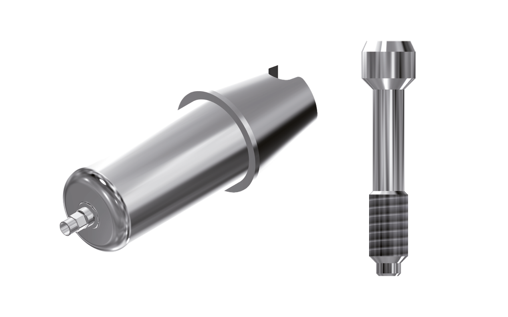 ZZ BASE F-DX-ABCH 3.0 Raw-Abutment (Hex & Screw)