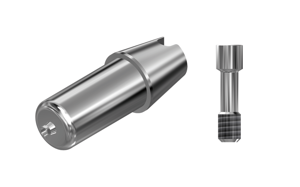ZZ BASE AB-CH-ABCH (Raw-Abutment Hex & Screw)