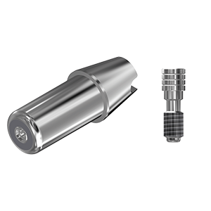ZZ BASE SI-EH-ABCH 3.25 Raw-Abutment (Hex & Screw)