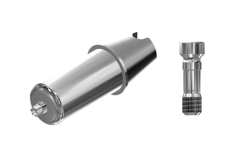 ZZ BASE ST-BLX-ABCH Raw-Abutment RB/WB (Hex & Screw)
