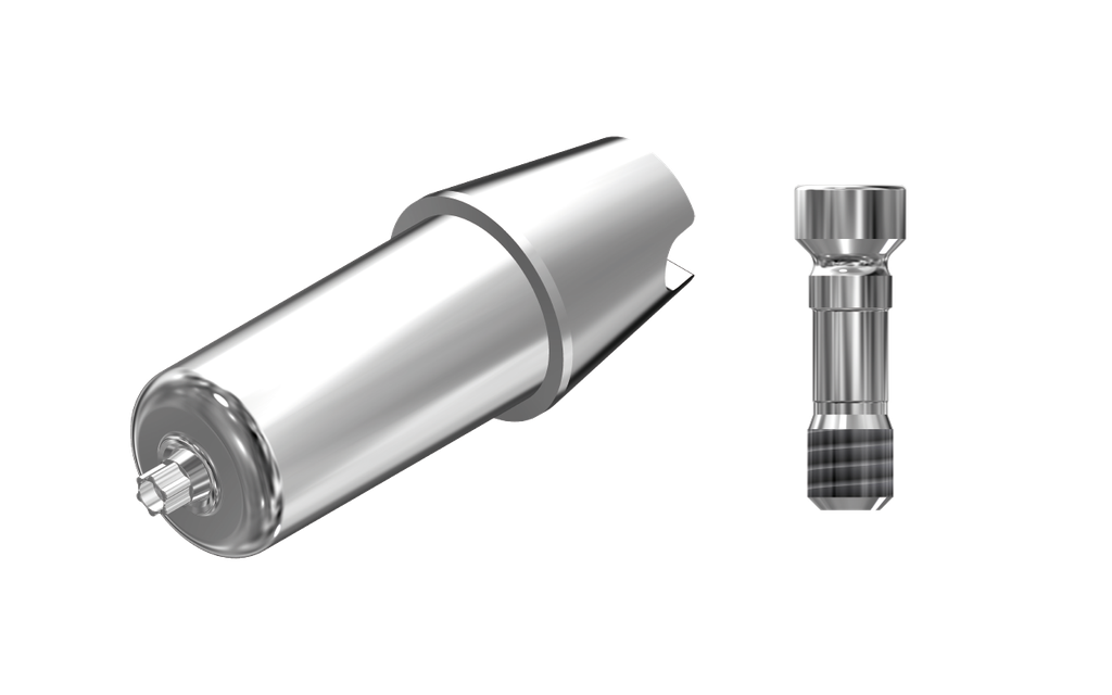 ZZ BASE ST-BLX-ABCH Raw-Abutment WB (Hex & Screw)