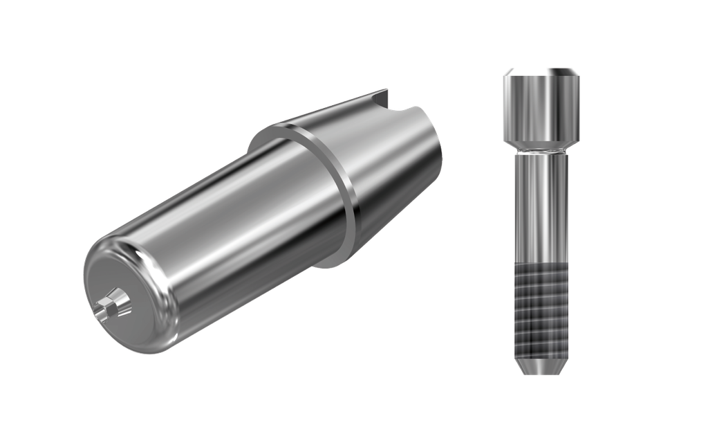 ZZ BASE ME-MI-ABCH Raw-Abutment Ø 3.0-3.25 (Hex & Screw)