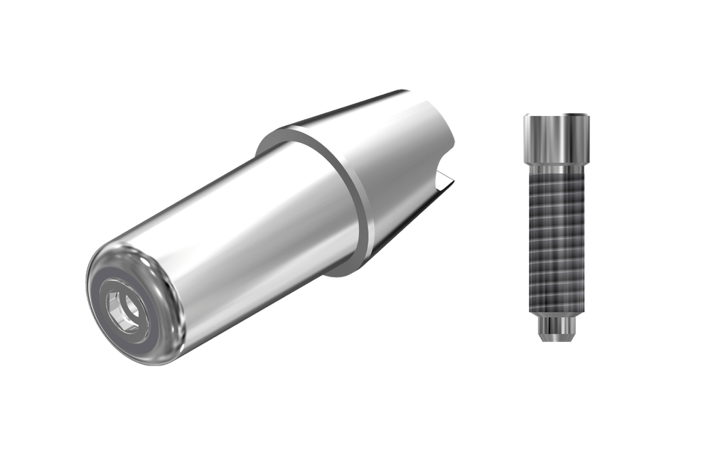 ZZ BASE P-TH-ABCH S5 (Raw-Abutment Hex & Screw)