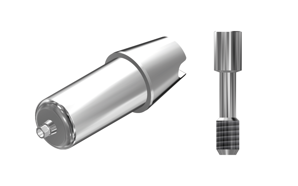 ZZ BASE Z-EI-ABCH NP (Raw-Abutment Hex & Screw)