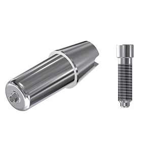 ZZ BASE S&M-K-ABCH 3.80 Raw-Abutment (Hex & Screw)