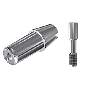 ZZ BASE AB-SP-ABCH 3.75 Raw-Abutment (Hex & Screw)