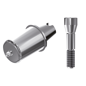 ZZ BASE I-T-ABCH-D14 3.45-4.8 Raw-Abutment D14 (Hex & Screw)