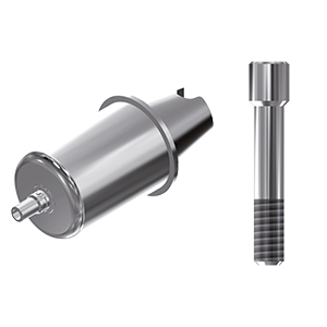 ZZ BASE C-J-ABCH-D14 4.3 Raw-Abutment D14 (Hex & Screw)