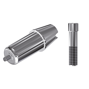 ZZ BASE SY-CB-ABCH Raw-Abutment Ø 4.0/4.5/5.5 (Hex & Screw)