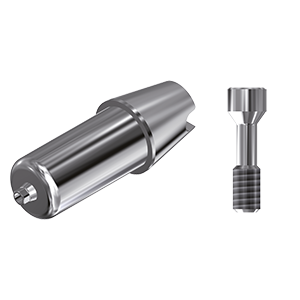 ZZ BASE NB-AC-ABCH Raw-Abutment NP (Hex & Screw)