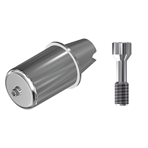 ZZ BASE NB-A-ABCH-D14 NP Raw-Abutment D14 (Hex & Screw)