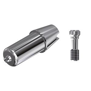 ZZ BASE NB-AC-ABCH Raw-Abutment RP (Hex & Screw)