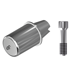 ZZ BASE NB-A-ABCH-D14 CC 3.0 Raw-Abutment D14 (Hex & Screw)